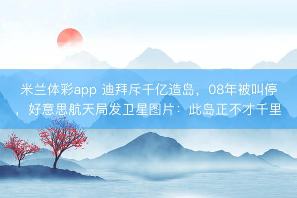米兰体彩app 迪拜斥千亿造岛，08年被叫停，好意思航天局发卫星图片：此岛正不才千里