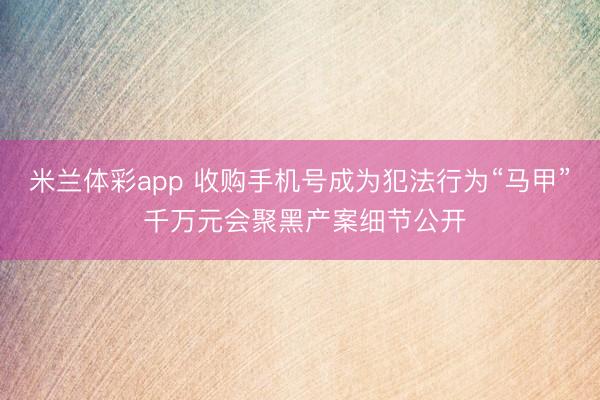 米兰体彩app 收购手机号成为犯法行为“马甲” 千万元会聚黑产案细节公开