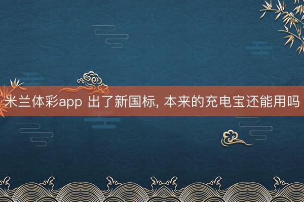 米兰体彩app 出了新国标, 本来的充电宝还能用吗