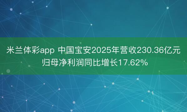 米兰体彩app 中国宝安2025年营收230.36亿元 归母净利润同比增长17.62%