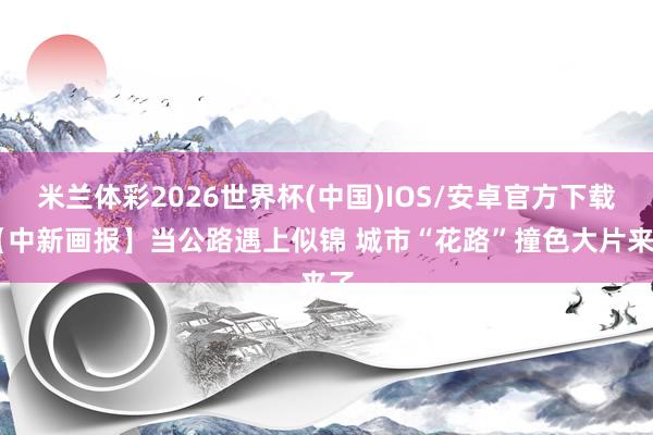 米兰体彩2026世界杯(中国)IOS/安卓官方下载 【中新画报】当公路遇上似锦 城市“花路”撞色大片来了