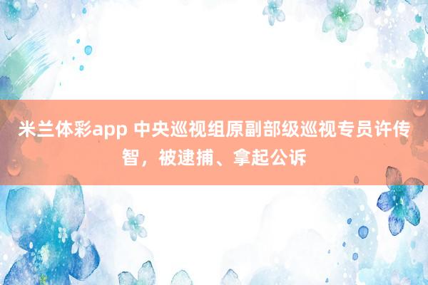 米兰体彩app 中央巡视组原副部级巡视专员许传智，被逮捕、拿起公诉