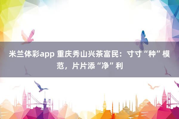 米兰体彩app 重庆秀山兴茶富民：寸寸“种”模范，片片添“净”利