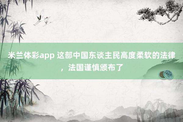 米兰体彩app 这部中国东谈主民高度柔软的法律,法国谨慎颁布了