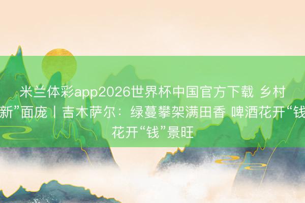 米兰体彩app2026世界杯中国官方下载 乡村振兴“新”面庞丨吉木萨尔:绿蔓攀架满田香 啤酒花开“钱”景旺