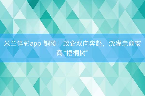 米兰体彩app 铜陵：政企双向奔赴，浇灌亲商安商“梧桐树”