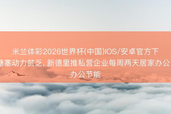 米兰体彩2026世界杯(中国)IOS/安卓官方下载 搪塞动力贫乏, 新德里推私营企业每周两天居家办公节能