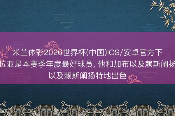 米兰体彩2026世界杯(中国)IOS/安卓官方下载 希勒: 拉亚是本赛季年度最好球员， 他和加布以及赖斯阐扬特地出色