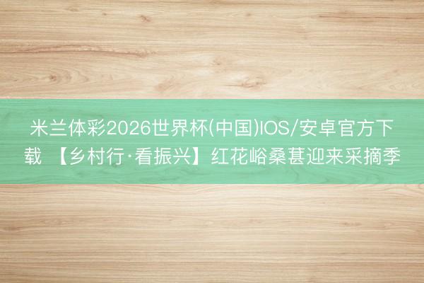 米兰体彩2026世界杯(中国)IOS/安卓官方下载 【乡村行·看振兴】红花峪桑葚迎来采摘季