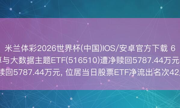米兰体彩2026世界杯(中国)IOS/安卓官方下载 6月5日易方达中证云打算与大数据主题ETF(516510)遭净赎回5787.44万元， 位居当日股票ETF净流出名次42/1225